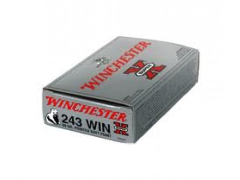243	WIN Winchester Super X PSP/80Gr